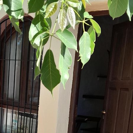 La Montana Bed & Breakfast Cafayate Bagian luar foto
