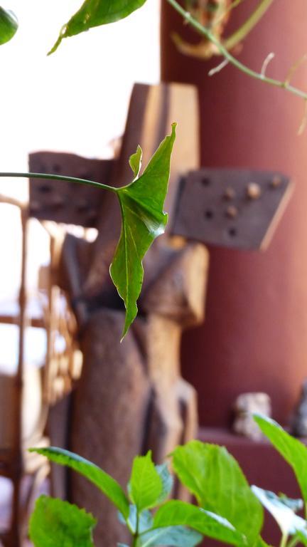 La Montana Bed & Breakfast Cafayate Bagian luar foto